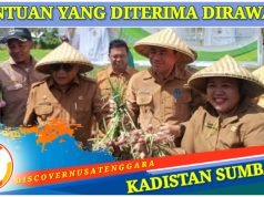 Petani Sumbawa Diharap Terus Lanjutkan Budidaya Bawang Merah