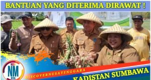Petani Sumbawa Diharap Terus Lanjutkan Budidaya Bawang Merah