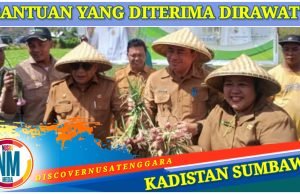 Petani Sumbawa Diharap Terus Lanjutkan Budidaya Bawang Merah
