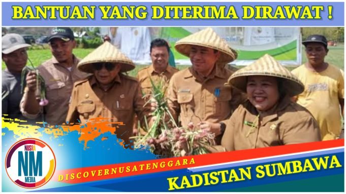 Petani Sumbawa Diharap Terus Lanjutkan Budidaya Bawang Merah