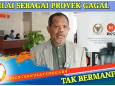 Desak Food Estate Gunung Mas Dihentikan, Johan Rosihan : “Buang-Buang Anggaran”