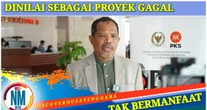 Desak Food Estate Gunung Mas Dihentikan, Johan Rosihan : “Buang-Buang Anggaran”