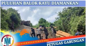 Praktek Ilegal Loging di Lunyuk Berhasil Digagalkan