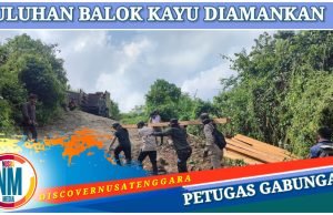 Praktek Ilegal Loging di Lunyuk Berhasil Digagalkan