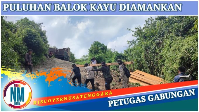 Praktek Ilegal Loging di Lunyuk Berhasil Digagalkan