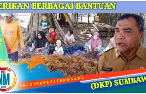 Budidaya Rumput Laut di Pulau Medang Kembali Dikembangkan