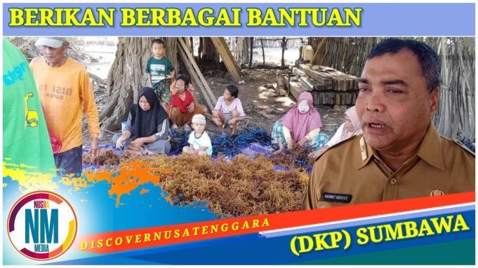 Budidaya Rumput Laut di Pulau Medang Kembali Dikembangkan
