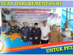 Sumbawa Dapat Bantuan 31.410 Kg Benih Jagung