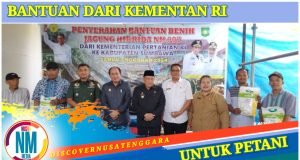 Sumbawa Dapat Bantuan 31.410 Kg Benih Jagung
