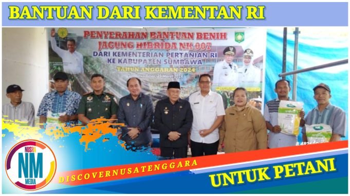 Sumbawa Dapat Bantuan 31.410 Kg Benih Jagung