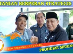 PPL Ujung Tombak Pembangunan Pertanian Hingga Tingkat Desa