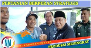 PPL Ujung Tombak Pembangunan Pertanian Hingga Tingkat Desa