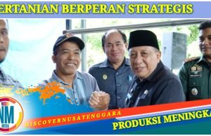 PPL Ujung Tombak Pembangunan Pertanian Hingga Tingkat Desa