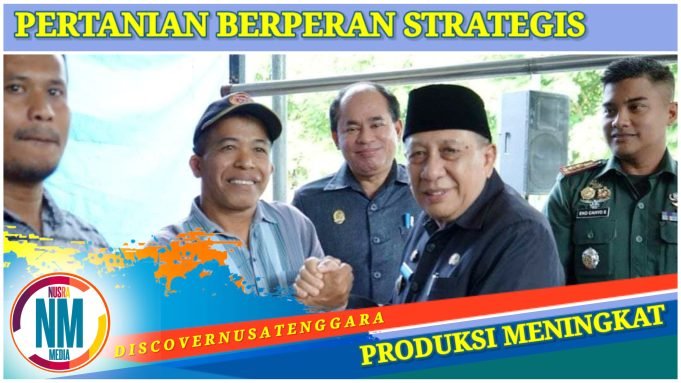 PPL Ujung Tombak Pembangunan Pertanian Hingga Tingkat Desa