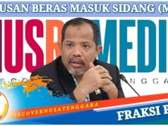 Johan Rosihan Nilai Terjadi Penyalahgunaan Wewenang Atas Pangan