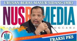 Johan Rosihan Nilai Terjadi Penyalahgunaan Wewenang Atas Pangan