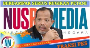 Pasokan Beras Impor Masuk Sumbawa dan KSB, Johan Rosihan Khawatir Bakal “Cekik” Petani