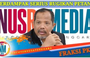 Pasokan Beras Impor Masuk Sumbawa dan KSB, Johan Rosihan Khawatir Bakal “Cekik” Petani