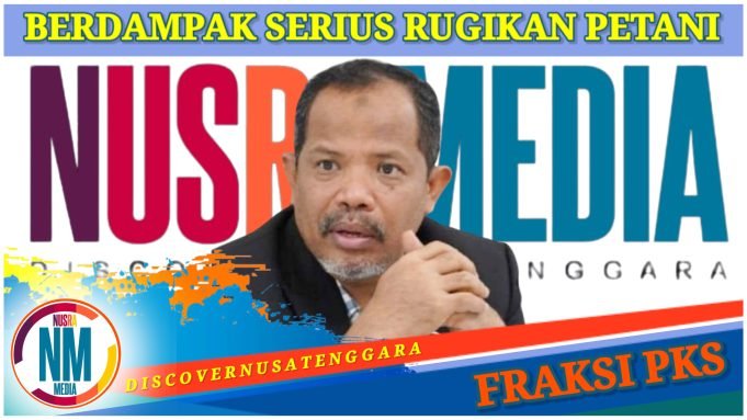 Pasokan Beras Impor Masuk Sumbawa dan KSB, Johan Rosihan Khawatir Bakal “Cekik” Petani