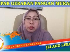 DKP Sumbawa : Harga Relatif Stabil