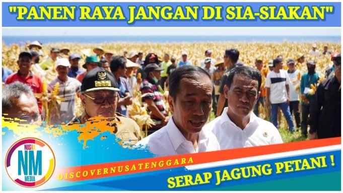 Presiden Jokowi dan Mentan Panen Raya Jagung di Samota Sumbawa