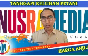 Pemda Sumbawa Sebut Perubahan Harga Jagung Karena Penyesuaian Faktor Produksi