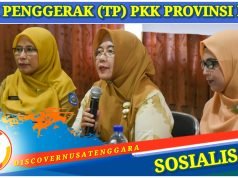 Orang Tua Didorong Perkuat Pengawasan dan Pemenuhan Hak Anak