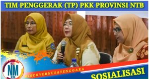 Orang Tua Didorong Perkuat Pengawasan dan Pemenuhan Hak Anak