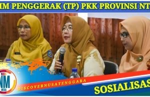 Orang Tua Didorong Perkuat Pengawasan dan Pemenuhan Hak Anak