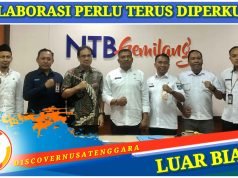 Nilai IMDI Provinsi NTB Diatas Rata-Rata Nasional