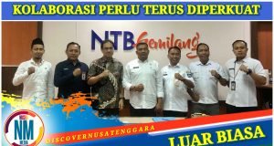Nilai IMDI Provinsi NTB Diatas Rata-Rata Nasional