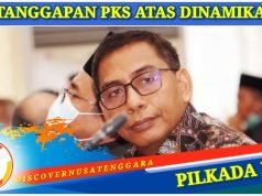 PKS Tegaskan Siap Hormati Jika Rohmi Berputar Haluan