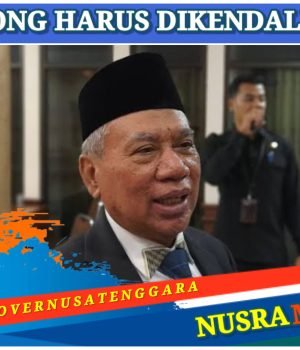 DPRD NTB Soroti Alih Fungsi Lahan Pertanian