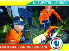 Turis Asal Swiss Terjatuh di Jurang Pendakian Bukit Dara Sembalun