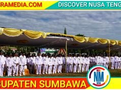 155 Kades Terima SK Perpanjangan Masa Jabatan