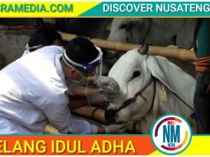 Disnakeswan Sumbawa Terjunkan 200 Petugas Pemeriksaan Hewan