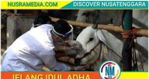 Disnakeswan Sumbawa Terjunkan 200 Petugas Pemeriksaan Hewan