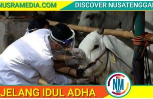 Disnakeswan Sumbawa Terjunkan 200 Petugas Pemeriksaan Hewan