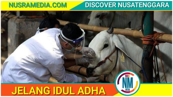 Disnakeswan Sumbawa Terjunkan 200 Petugas Pemeriksaan Hewan