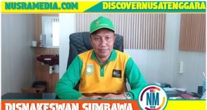 Warga Sumbawa Diimbau Segera Datangi Faskes Jika Ada Korban HPR