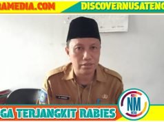 Delapan Warga Sumbawa Digigit Anjing Liar