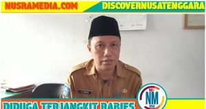 Delapan Warga Sumbawa Digigit Anjing Liar