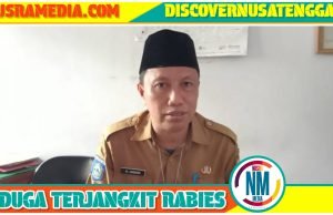 Delapan Warga Sumbawa Digigit Anjing Liar