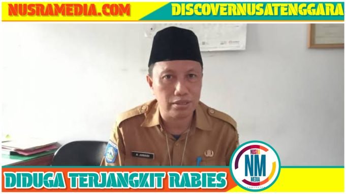 Delapan Warga Sumbawa Digigit Anjing Liar