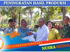 Kasdim Sumbawa Harap Bantuan Alsintan Berikan Dampak Positif