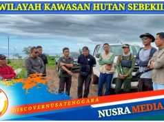 Tim Pengawasan Lakukan Peninjauan Pengerjaan Jaringan Listrik