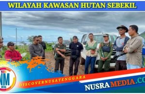 Tim Pengawasan Lakukan Peninjauan Pengerjaan Jaringan Listrik