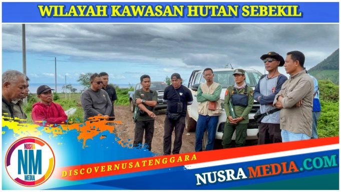 Tim Pengawasan Lakukan Peninjauan Pengerjaan Jaringan Listrik