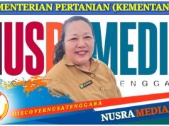 Sumbawa Kembali Dapat Program Bawang Merah Upland Senilai Rp25 Miliar