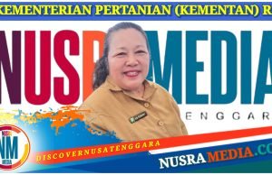 Sumbawa Kembali Dapat Program Bawang Merah Upland Senilai Rp25 Miliar